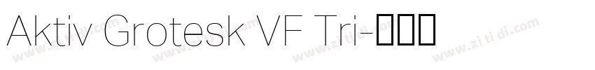 Aktiv Grotesk VF Tri字体转换